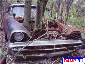 ���� �����������  ���������� ����������� 