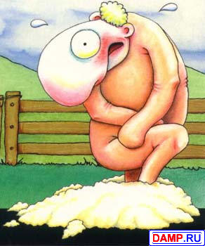 ���� �������[2] ���������� �������[2]