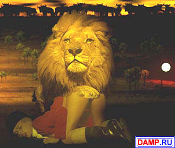 ���� �������[2] ���������� �������[2]