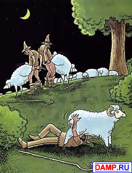 ���� ��� ��������[3] ���������� ��� ��������[3]