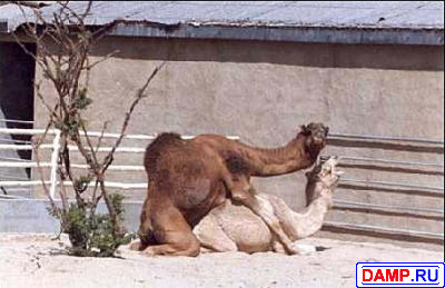 ���� ��� ��������[3] ���������� ��� ��������[3]