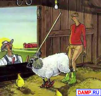 ���� ��� ��������[3] ���������� ��� ��������[3]