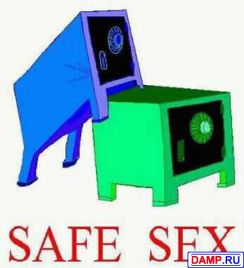 ���� ����������  ���������� ���������� 