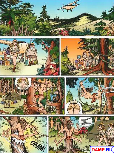 ���� �������  ���������� ������� 