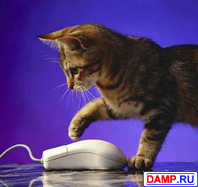 ���� �������� ��� ��������� ���������� �������� ��� ���������