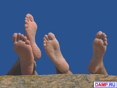 ���� ������� ���������� �������