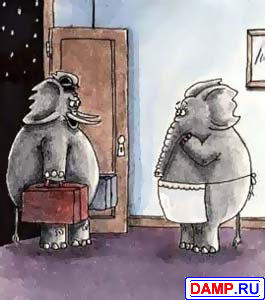 ���� ����������[2] ���������� ����������[2]