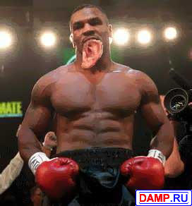 ���� C��������� �����������  ���������� C��������� ����������� 