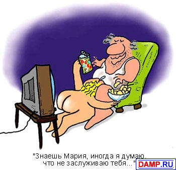 ���� �����������[2] ���������� �����������[2]