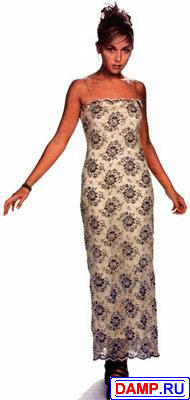 ���� ���� ���� ���������� ����