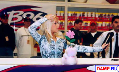 �������� ������� ���� �������� ������� ���������� �������� �������